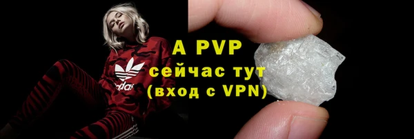 прущие грибы Кинешма