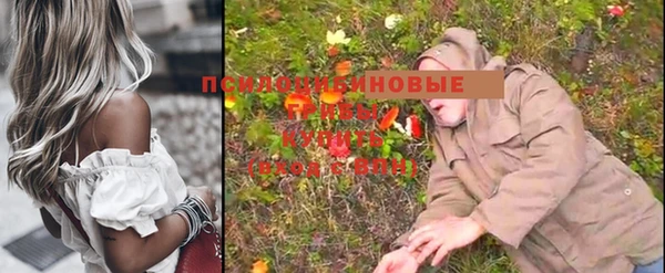 прущие грибы Кинешма