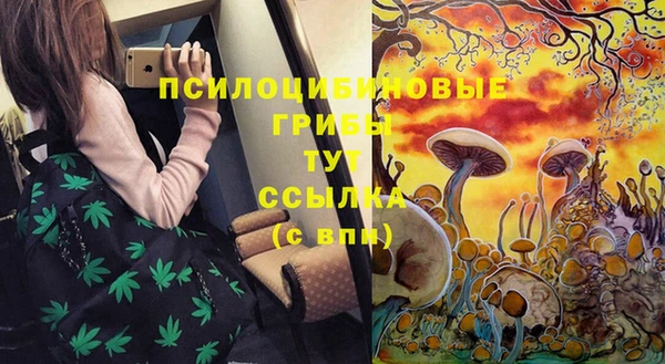 spice Каменногорск