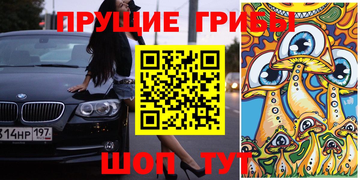 Галлюциногенные грибы прущие грибы Богородск