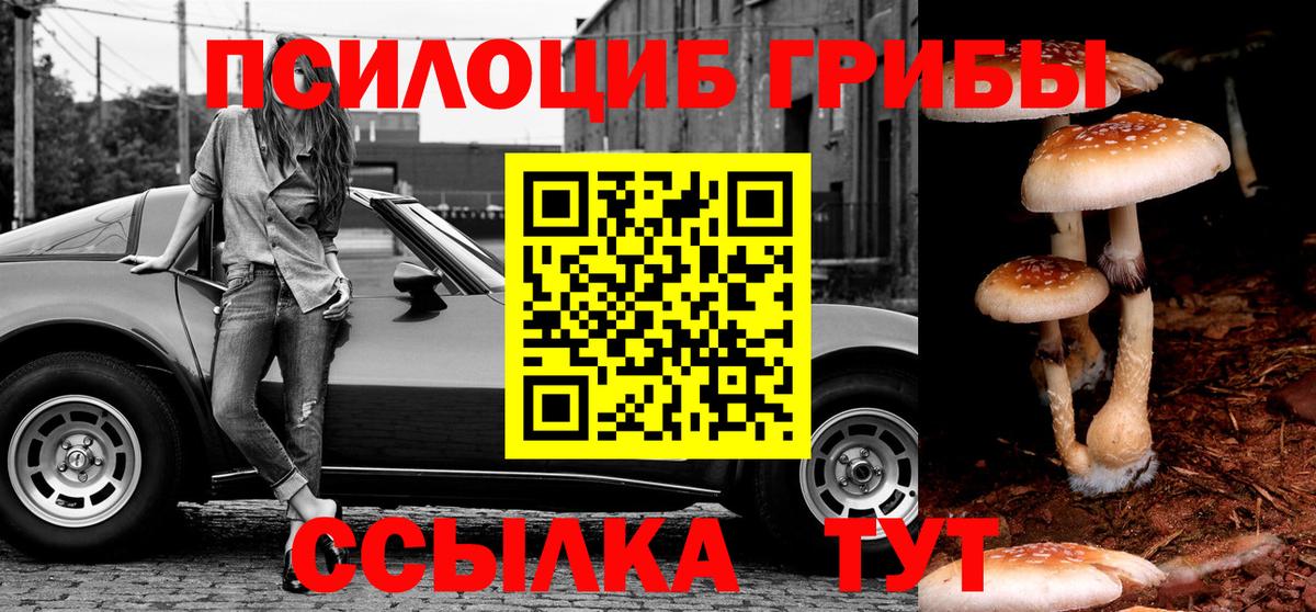 Галлюциногенные грибы мицелий Богородск