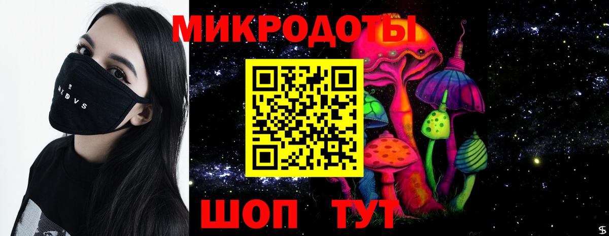 Галлюциногенные грибы прущие грибы  Богородск  Псилоцибиновые грибы Cubensis 