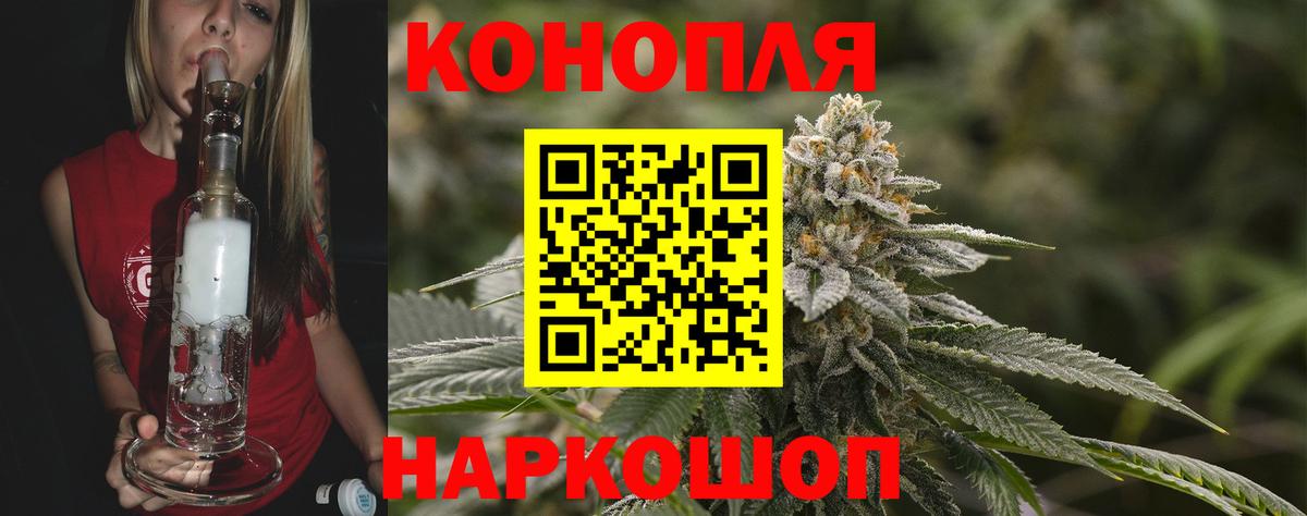 Бошки марихуана план  Конопля OG Kush  Бошки Шишки планчик  Богородск 